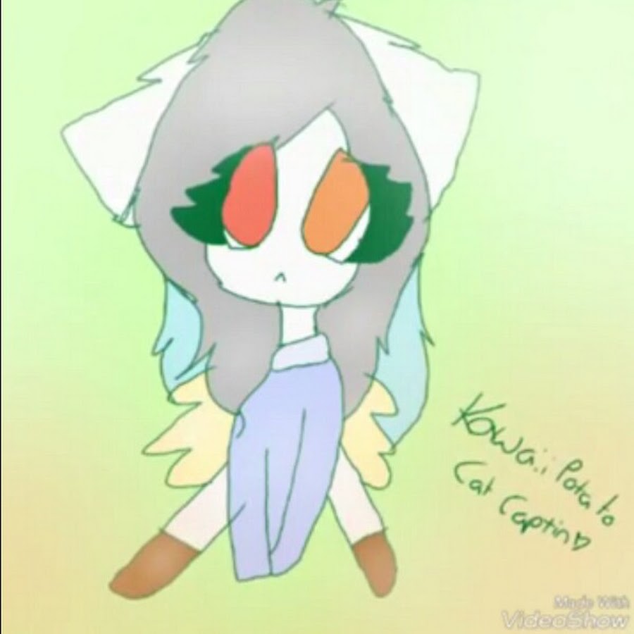 Kawaii Potato Cat Captain 