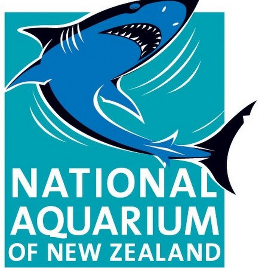 National Aquarium of New Zealand YouTube