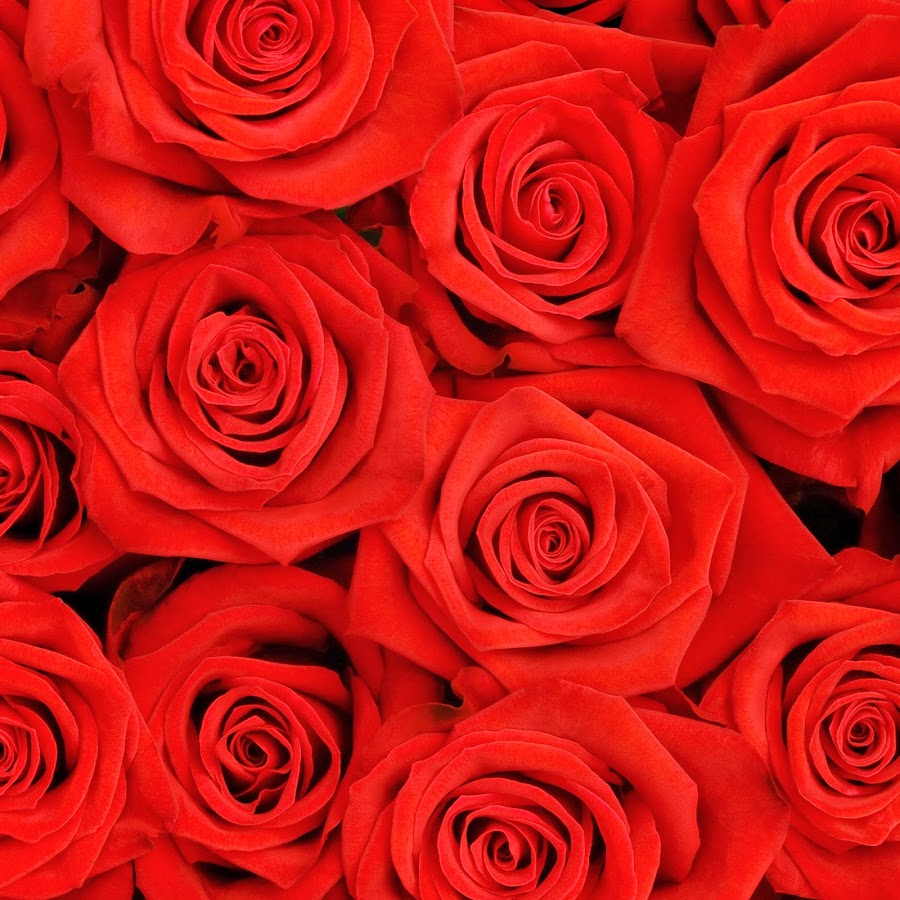 Gemini Flower YouTube