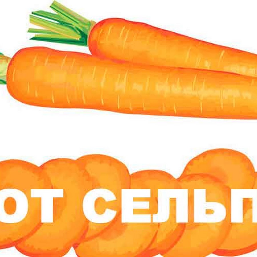 Канал на дзене сельпо на выезде
