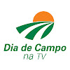 What could Dia de Campo na TV buy with $100 thousand?