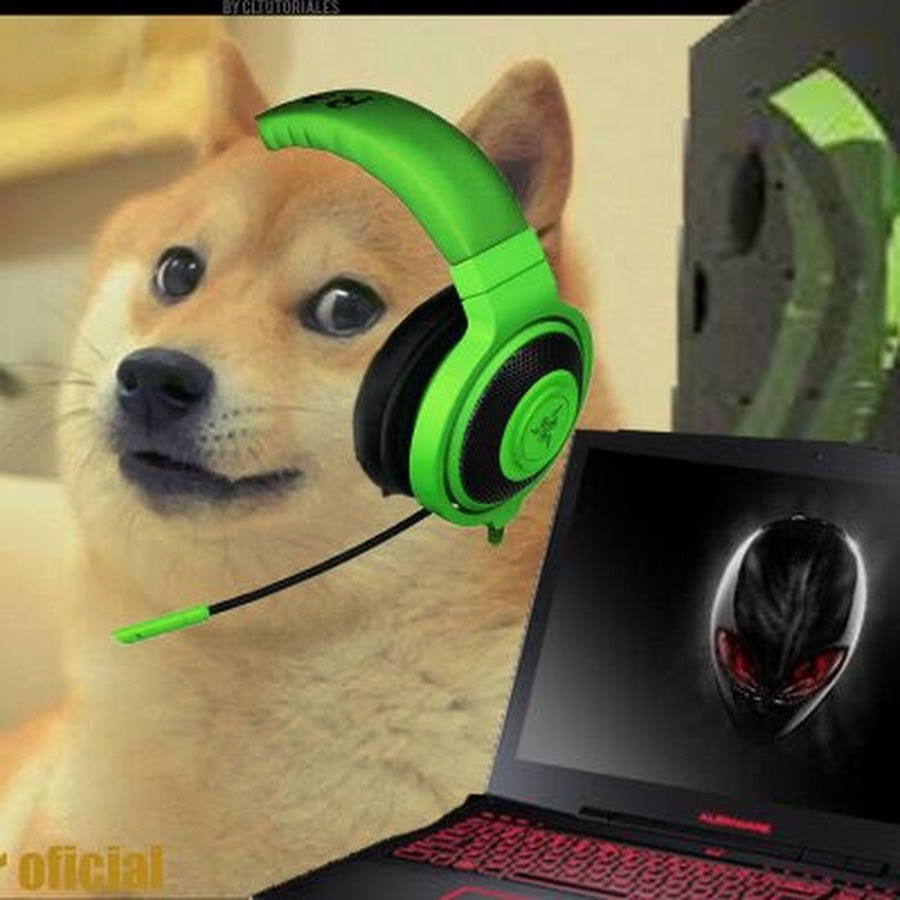 Le Doge Gaming YouTube