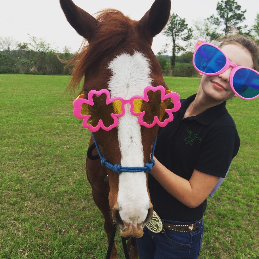 LRH Little Red Horse YouTube