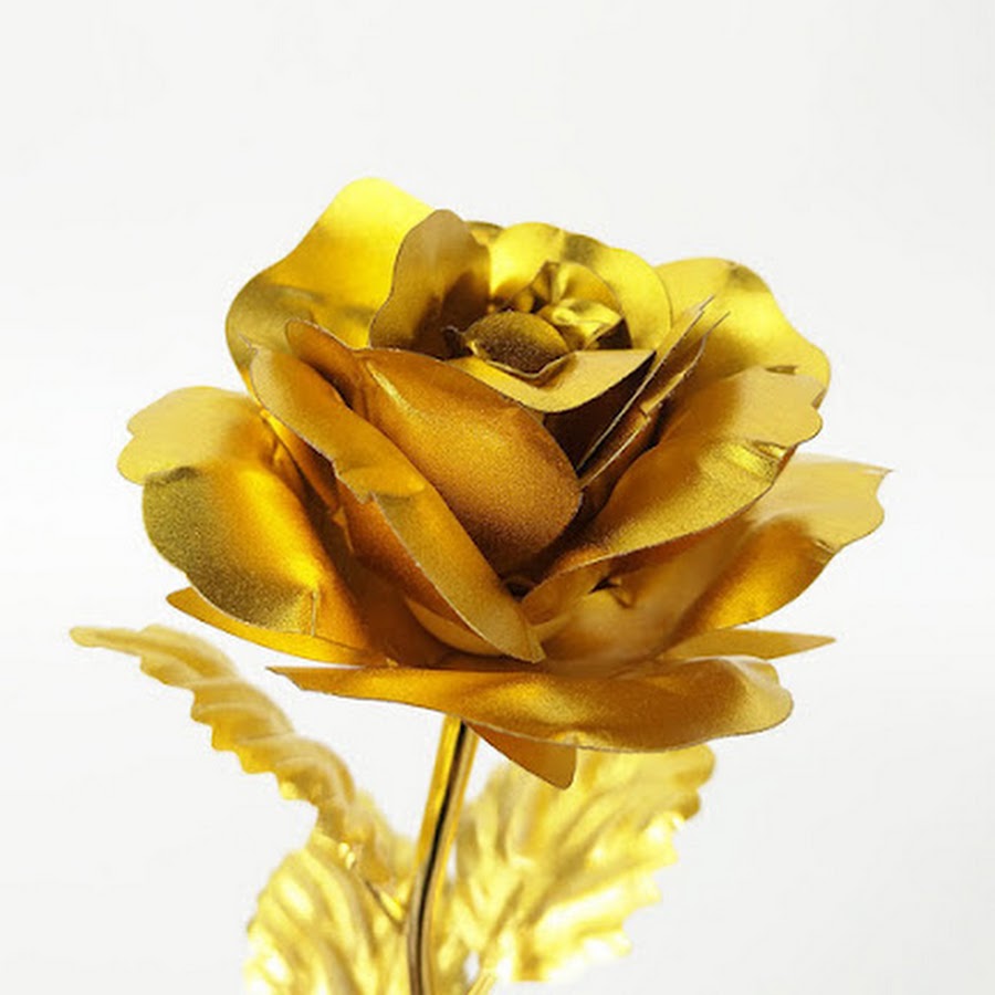 Golden Rose tv24 - YouTube