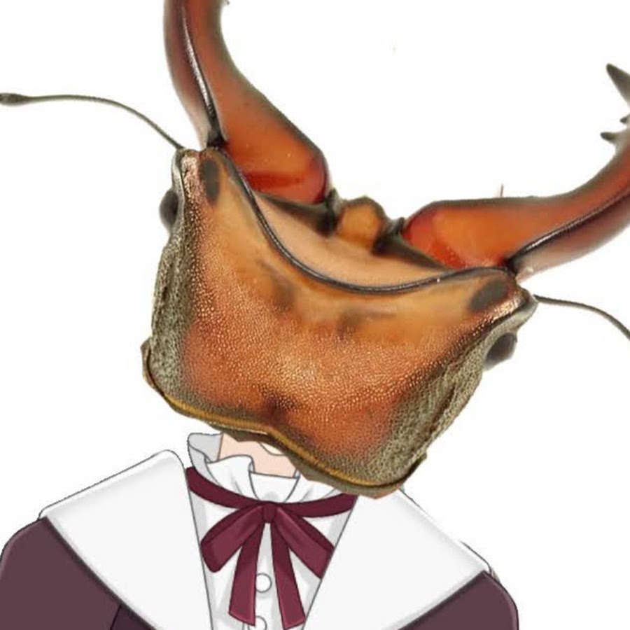 月野木チロル Tirol Tsukinoki Youtube