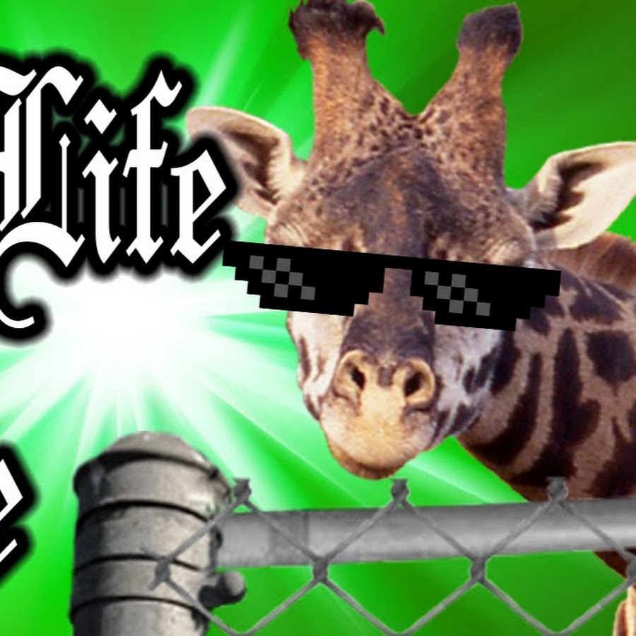 the gaming giraffe YouTube