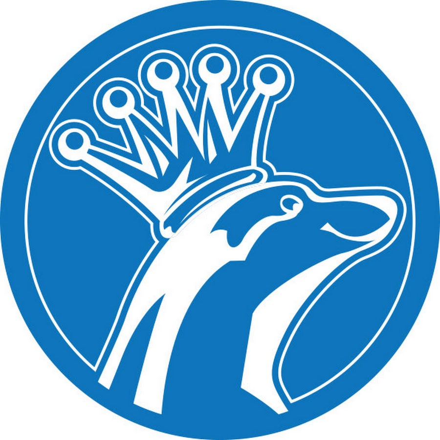 Seal King YouTube