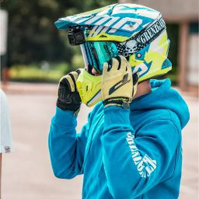 Niccolò Bisaro Net Worth & Earnings (2026)