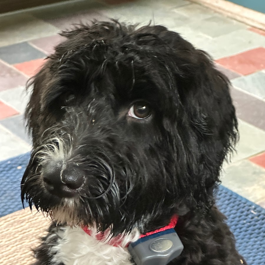 Bridge View Grill YouTube