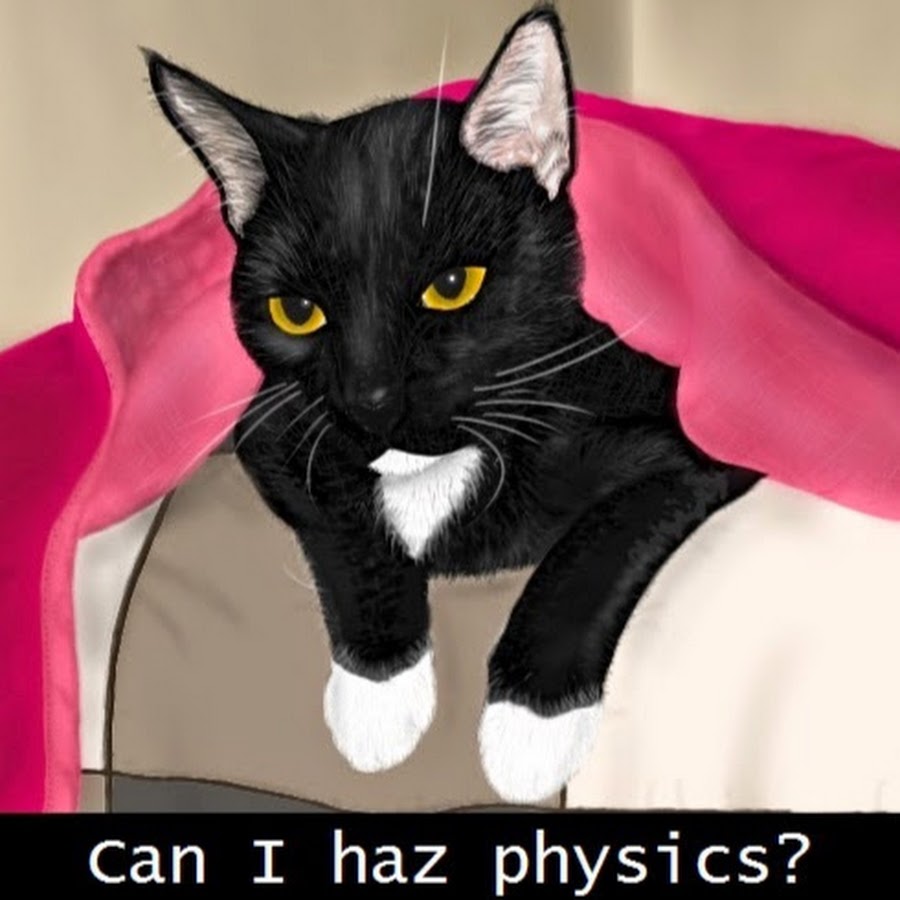 Physics Cats 