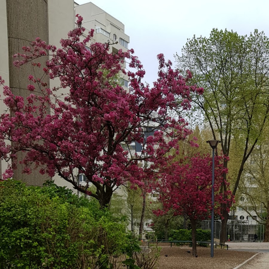 Spring Season France - YouTube
