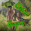 What could WAGU Waton Guyon buy with $307.63 thousand?