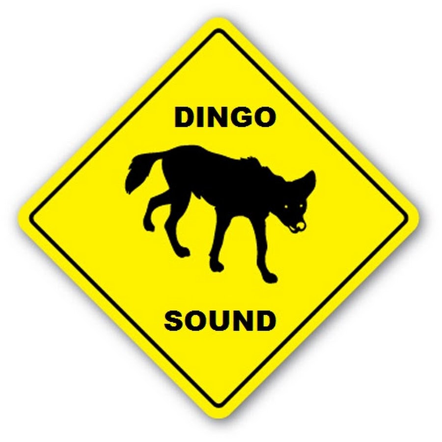 Dingo Sound YouTube