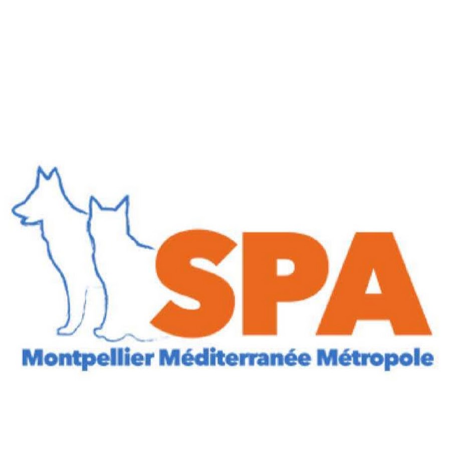 Forum Des Bénévoles De La Spa De Montpellier