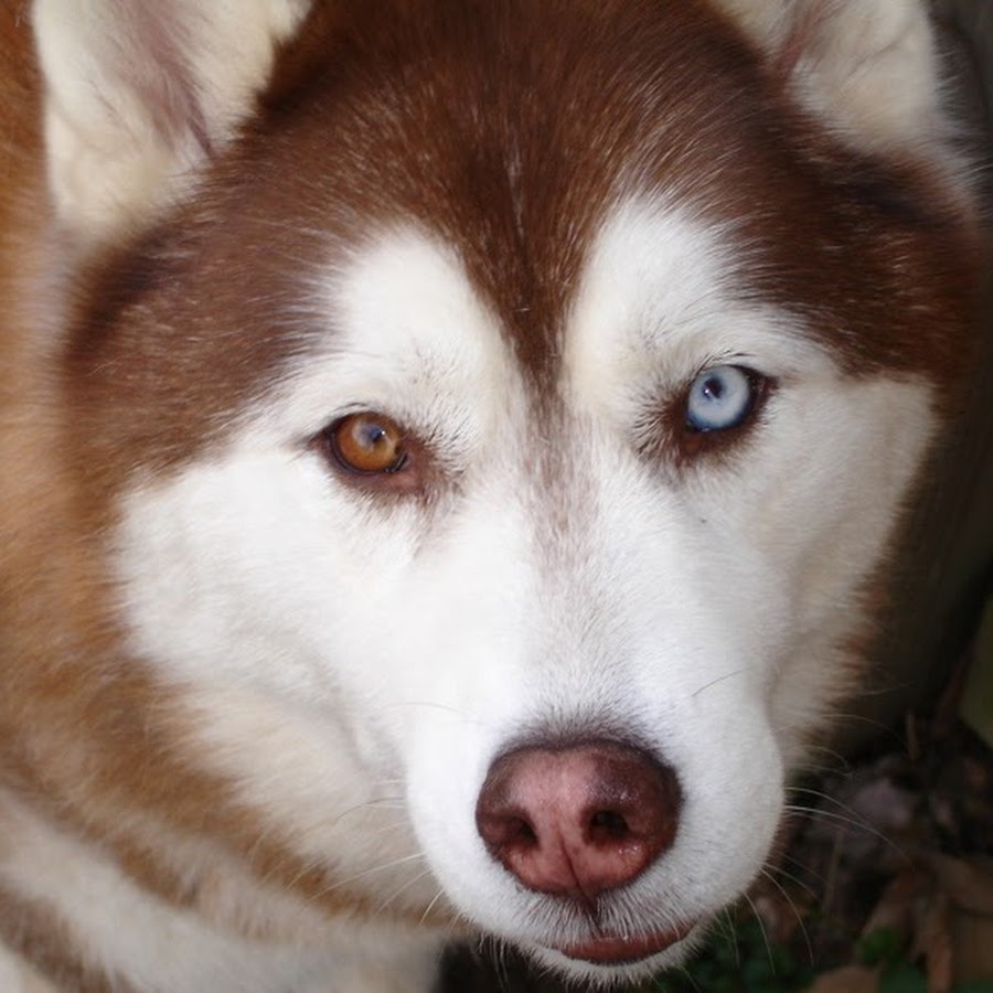 AATXAJzNW5fRlQpxk2SHooavW6rYsKRaLN_yq8C8