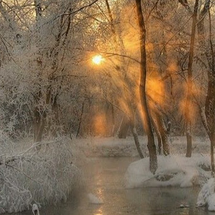 Rosa Angela - YouTube