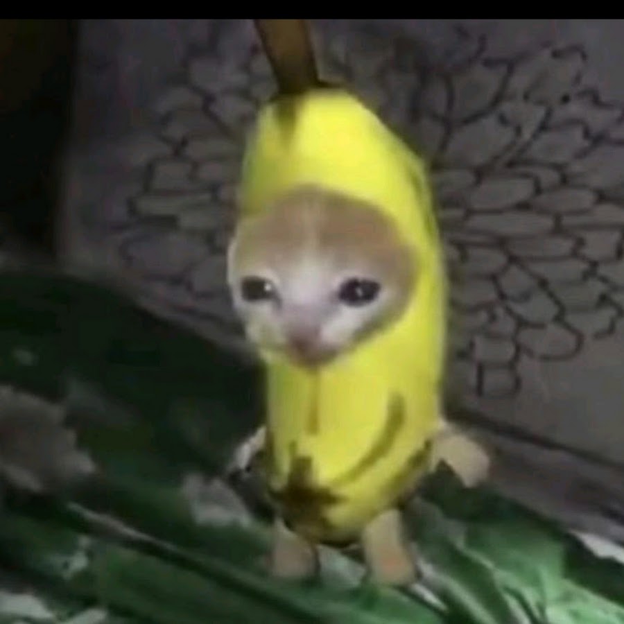 banana boi YouTube
