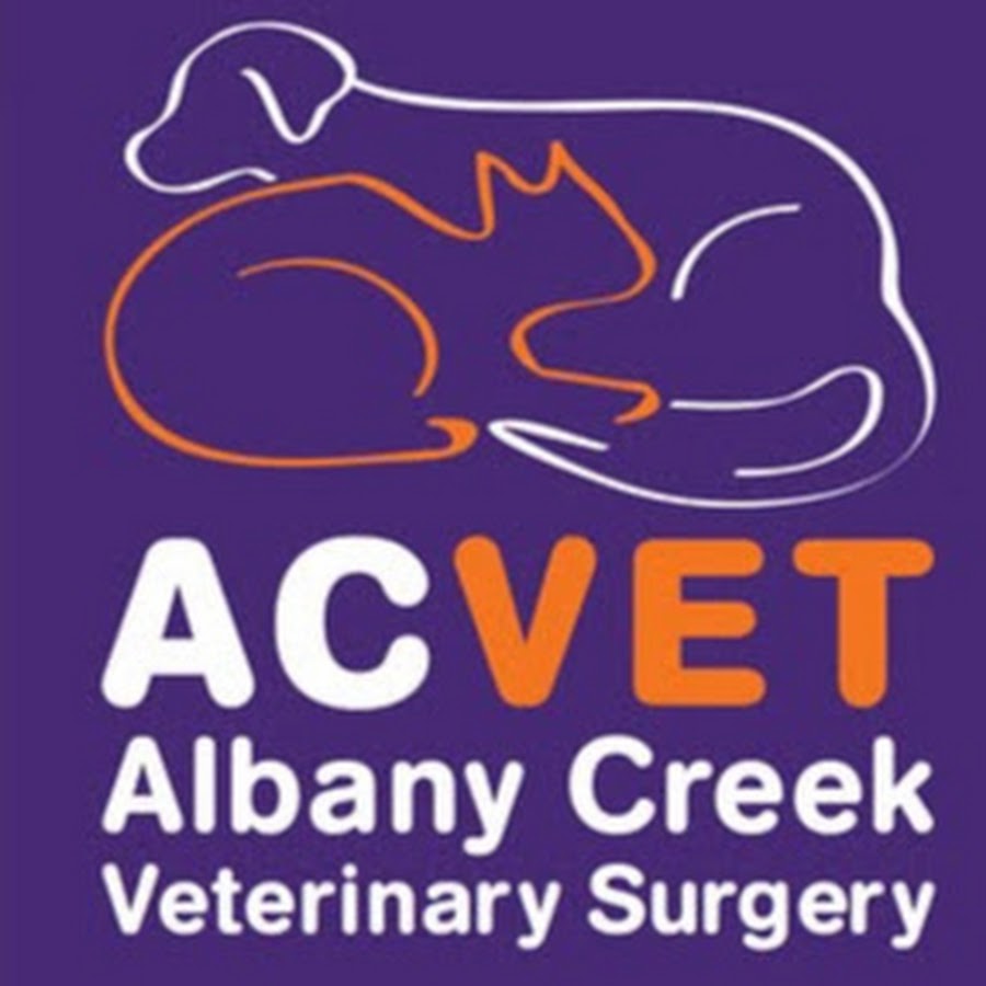 Albany Creek Veterinary Surgery YouTube