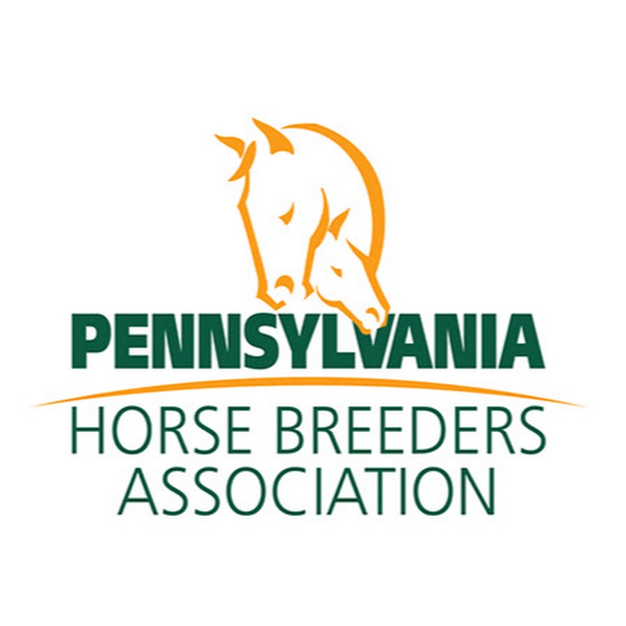 Pennsylvania Horse Breeders Association YouTube