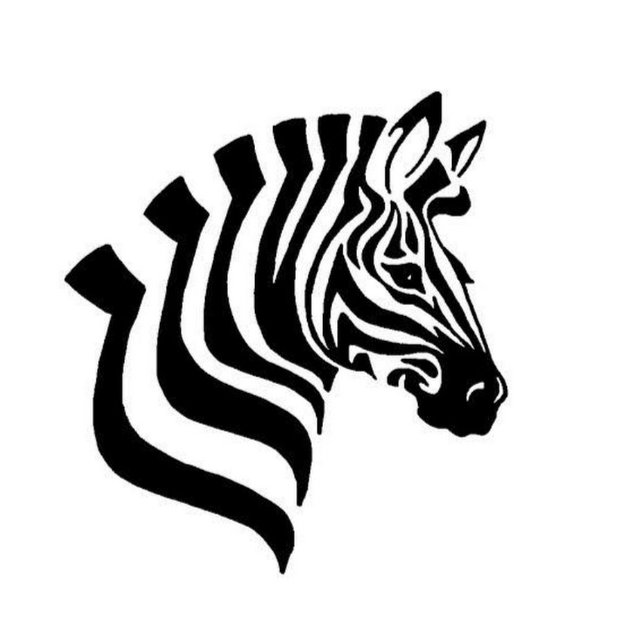 Zebra_XI - YouTube