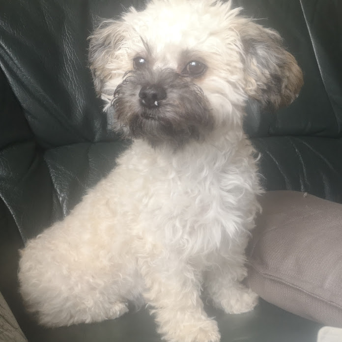 Elli Schramm1 Net Worth & Earnings (2026)