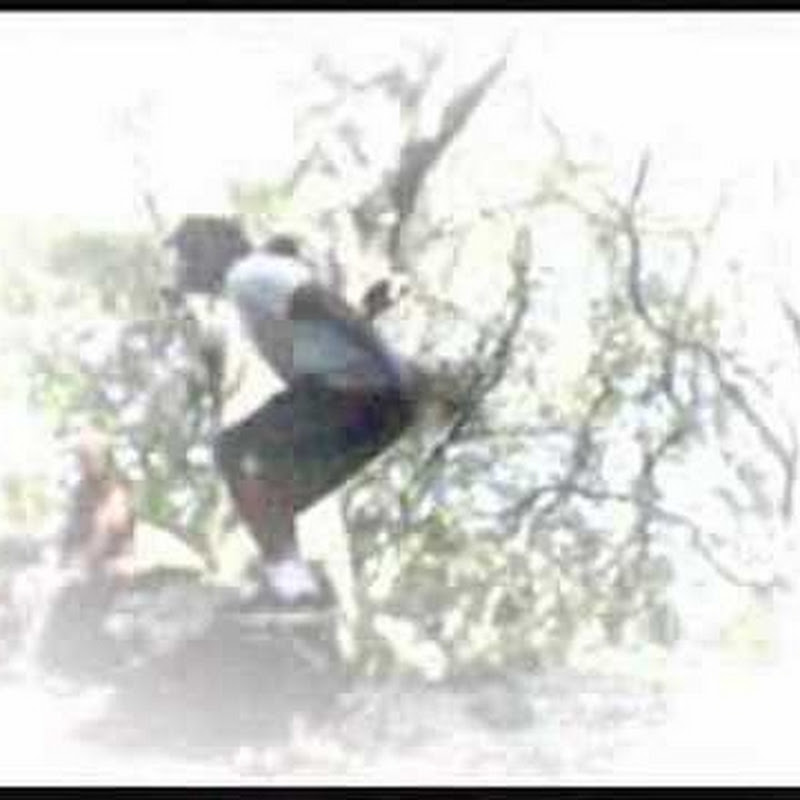 John Wolfe on YouTube