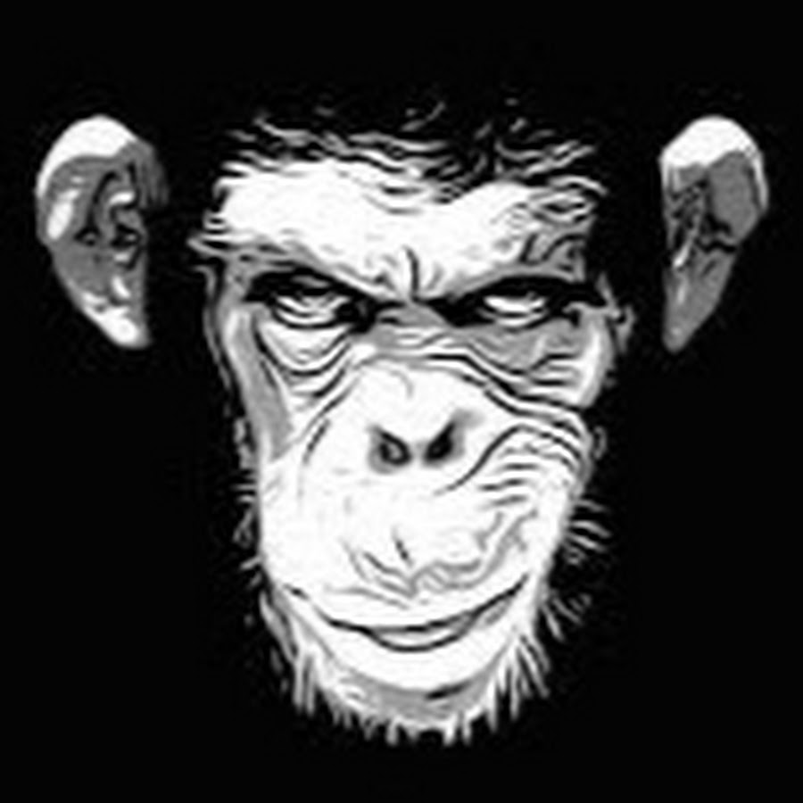 NINJA MONKEY YouTube