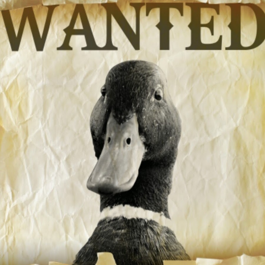Duck s Hitman YouTube