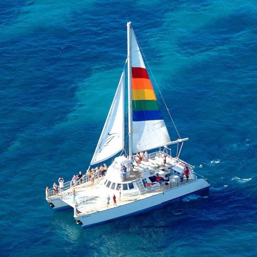 Blue Dolphin Charters - YouTube