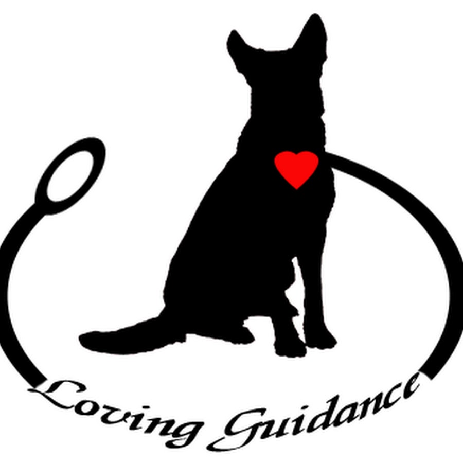 Loving Guidance Dog Training - YouTube