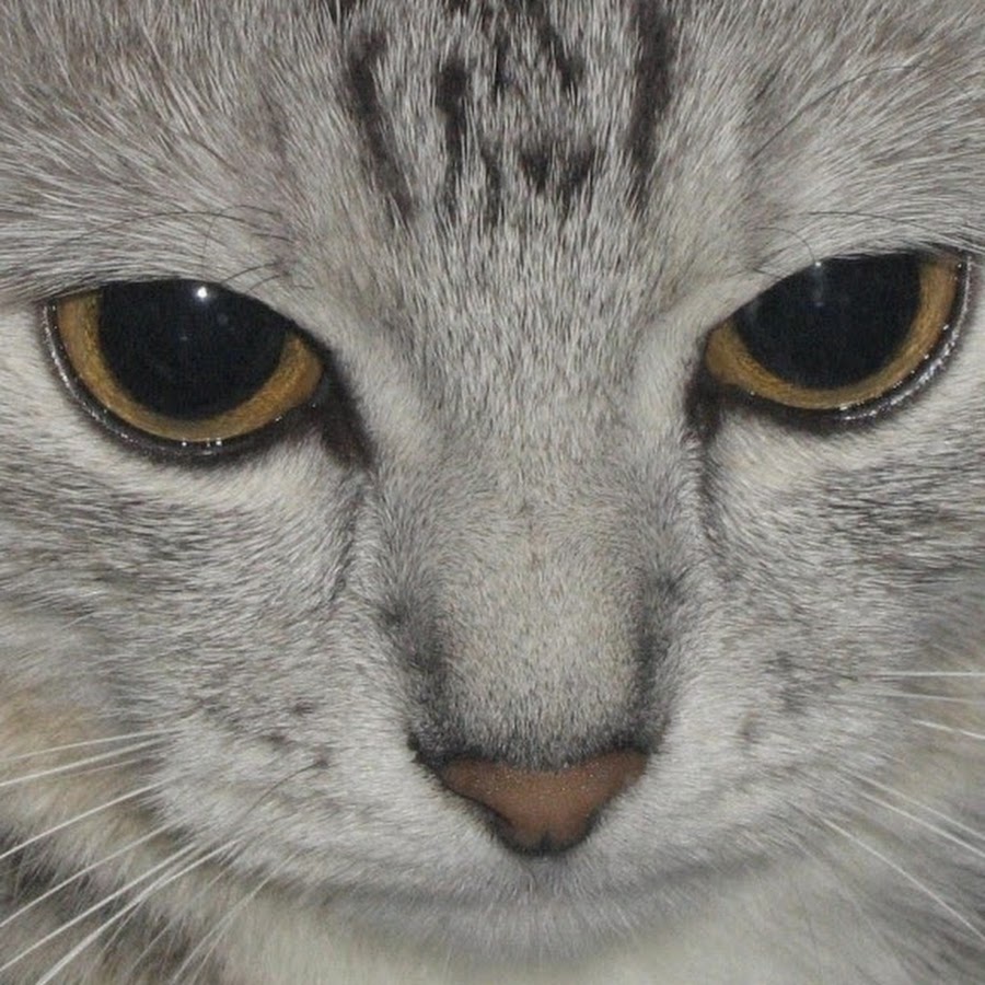 Изображение 300 на 300 пикселей