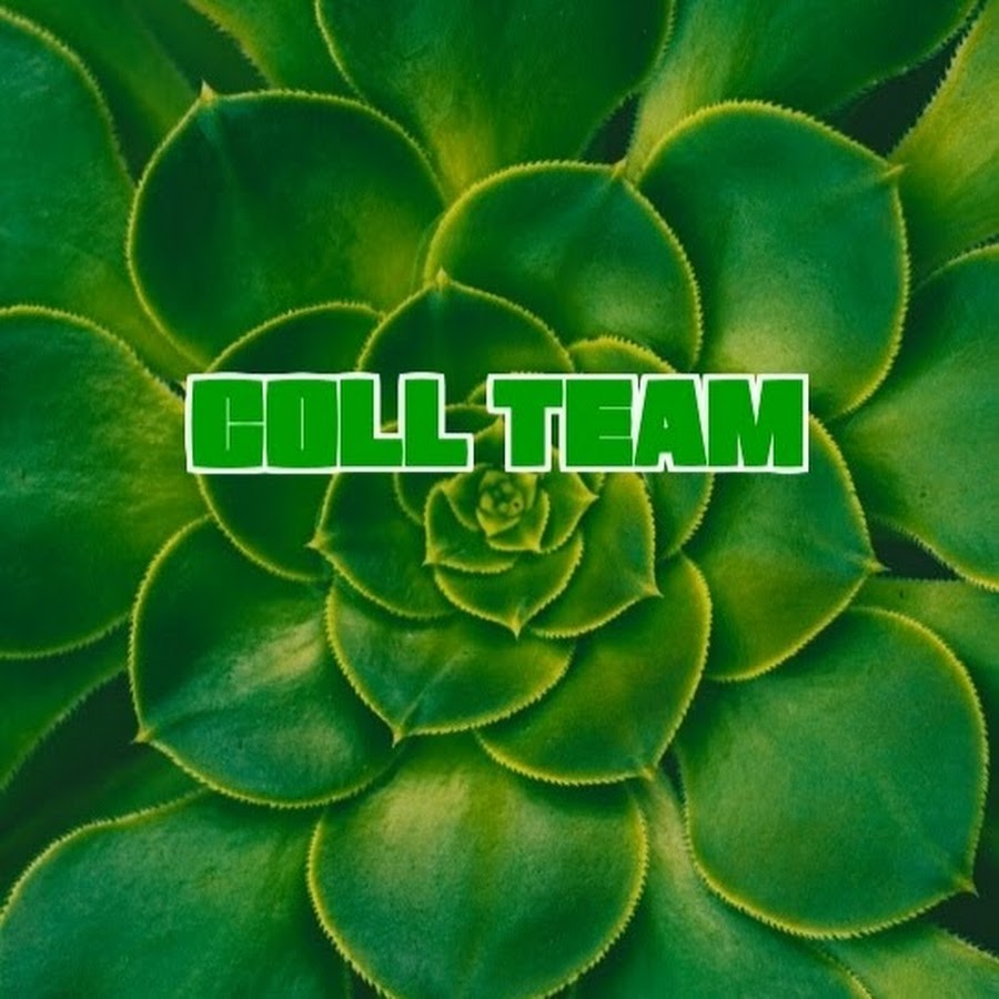 Cool Team 