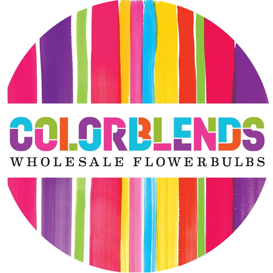 Colorblends Wholesale Flowerbulbs YouTube
