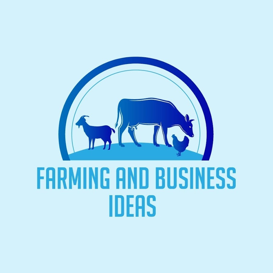 Farming And Business Ideas - YouTube