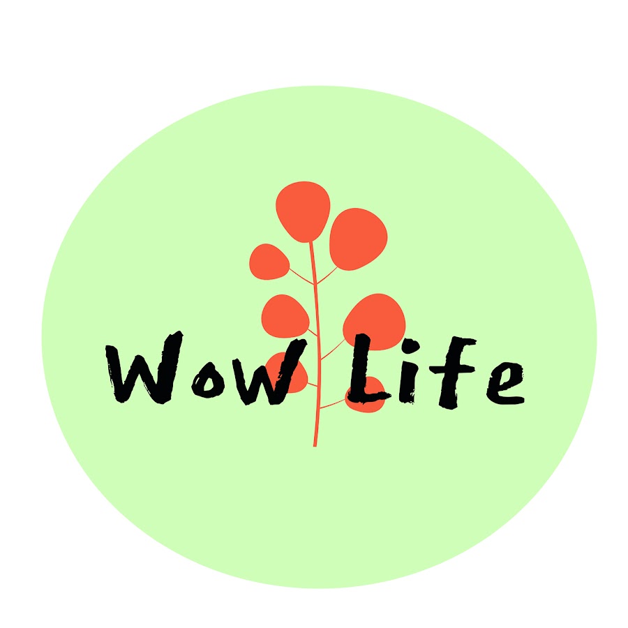 Wow Life YouTube