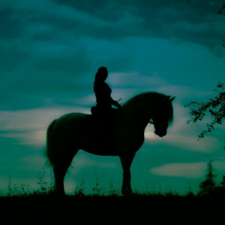 Artistic Dressage YouTube