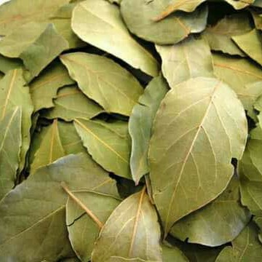 целебная лаврушка. лавровый лист отзывы. лавровый лист 20 г. лаврушка. лавровый лист отзывы.