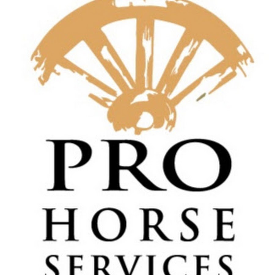 Pro Horse Services YouTube