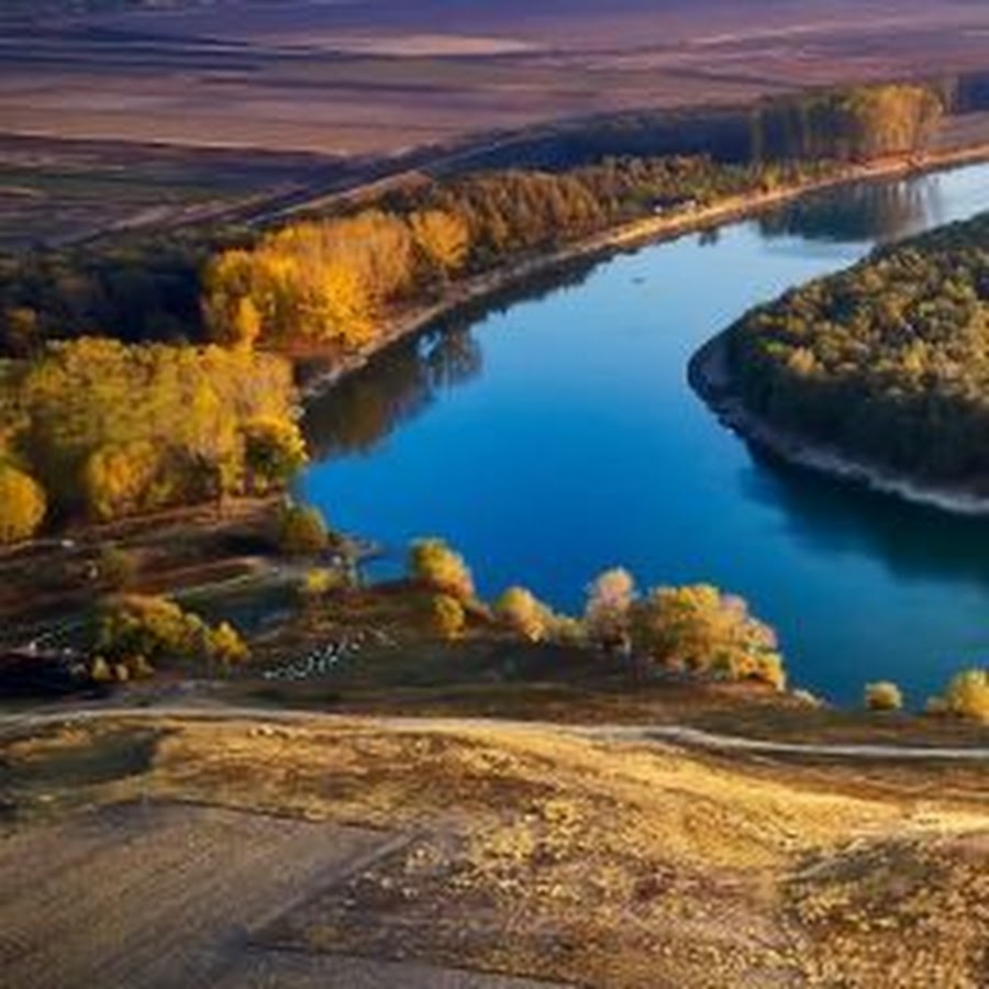 Герб португалии фото