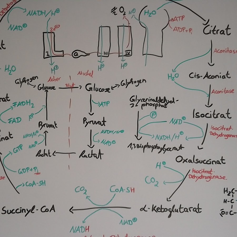 FitfürBiochemie - YouTube