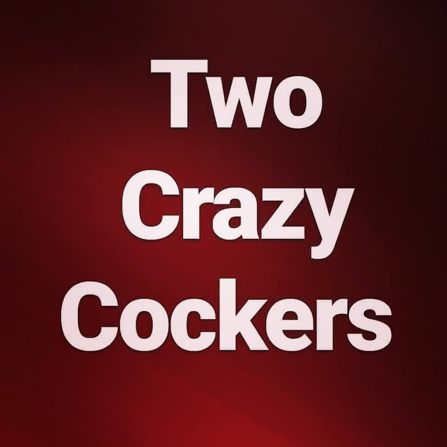 Two Crazy Cockers - YouTube