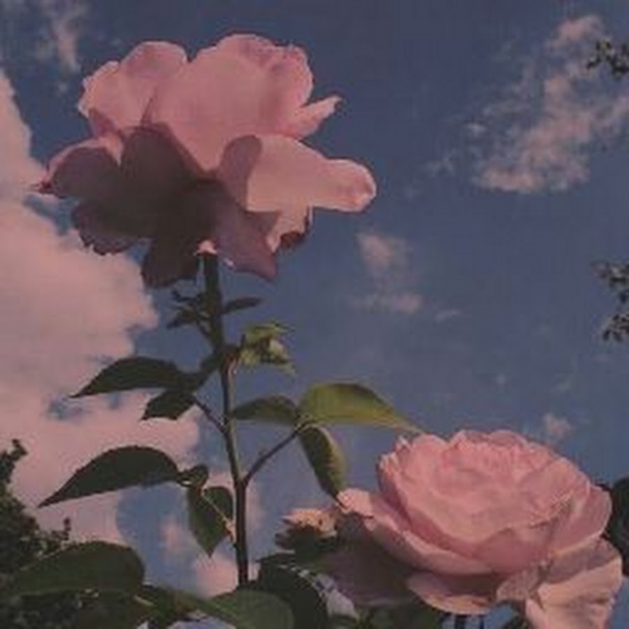 yoon_sol_mudife - YouTube