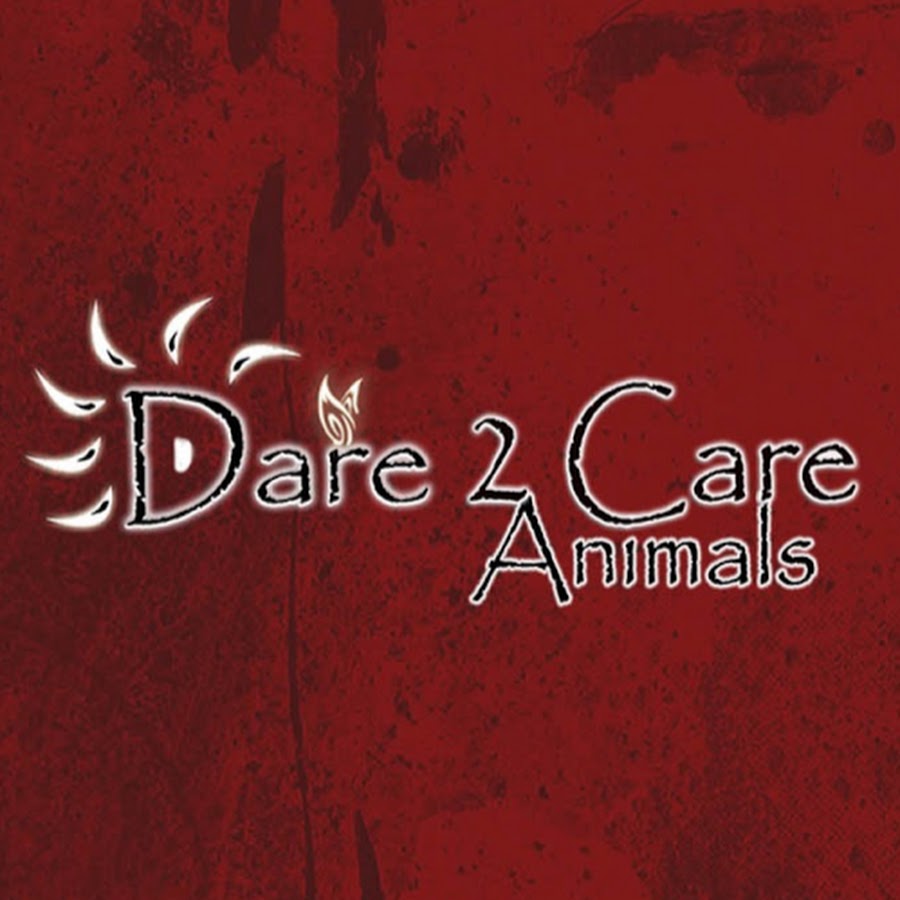 Dare 2 Care Animals 