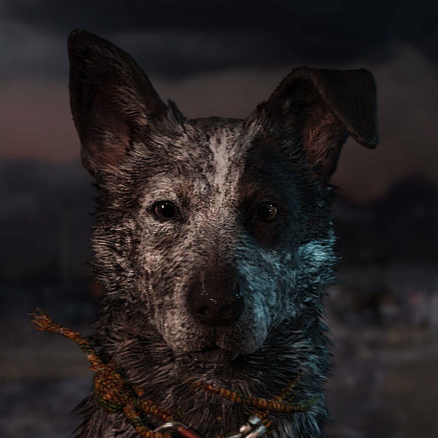 Фар край 5 пес. Far cry 5 собака бумер. Фар край 5 собака. Бумер фар край 5. Far cry 5 бумер.