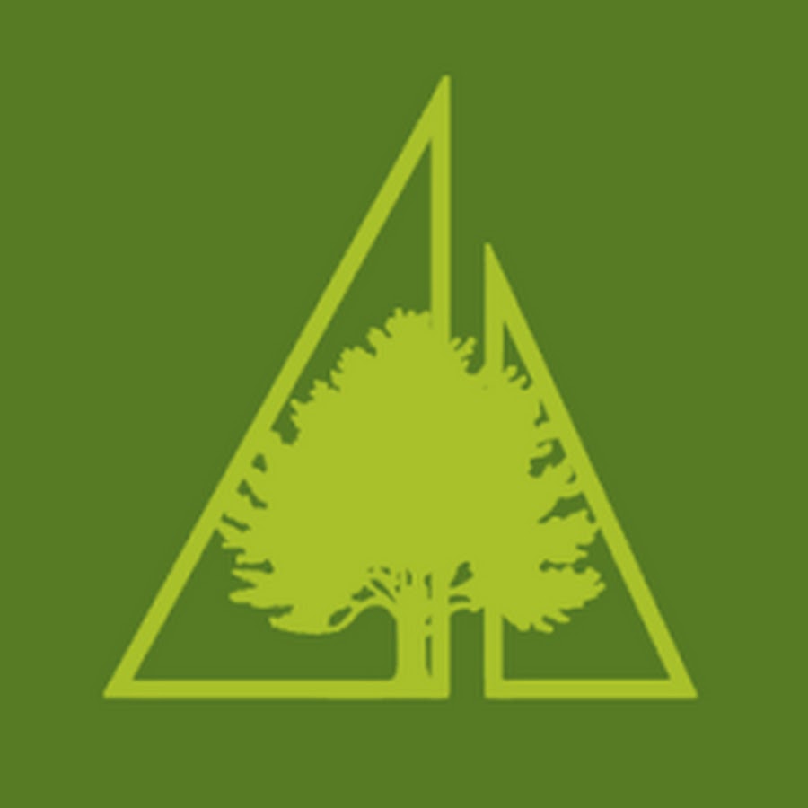 Allestree Woodlands School YouTube