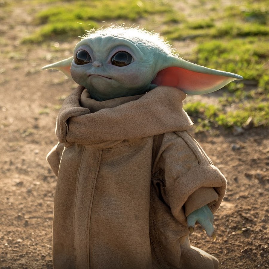 Tom Mcguire - YouTube