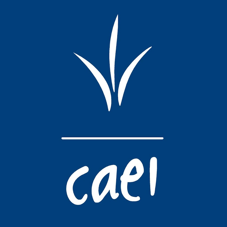Ingenio CAEI - YouTube