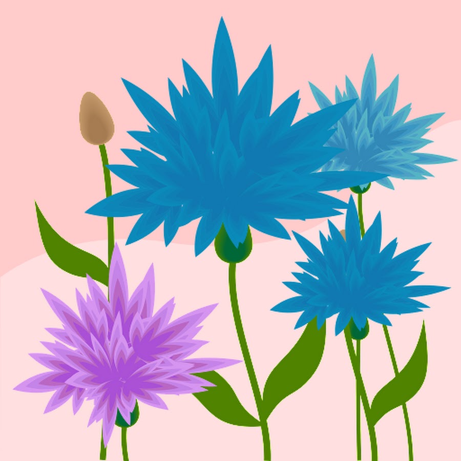 TWILIGHT BLOOM - YouTube