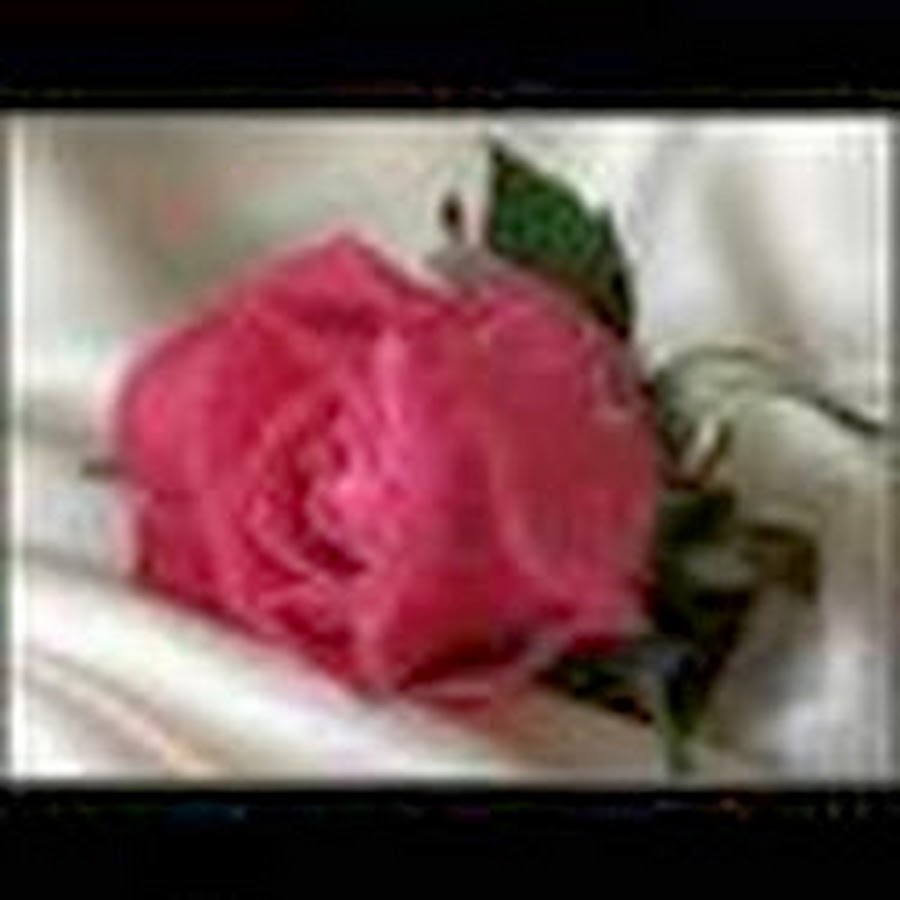 Нежные цветы любимой женщине