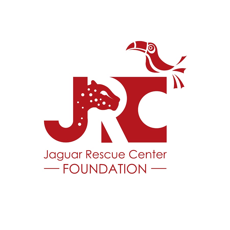 Jaguar Rescue Center - YouTube